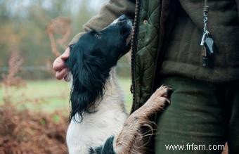 Les sifflets pour chiens sont-ils efficaces pour l entraînement ? 