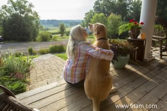 12 races de chiens paresseux faites pour les câlins 