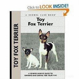 Tout savoir sur le jouet Fox Terrier espiègle 