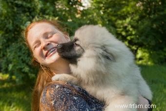 Tout et tout sur le Keeshond (fourrure et tout) 