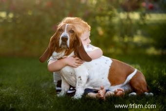 Basset Hound 101 (Tout ce que vous devez savoir) 