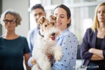 Bedlington Terrier:Guide d une race de chien unique 