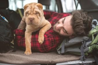 Guide de la race de chien Shar-Pei chinois 