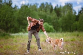 Guide de la race de chien Shar-Pei chinois 