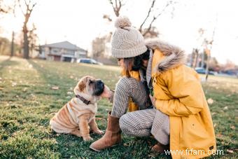 Guide de la race de chien Shar-Pei chinois 