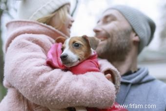 Caractéristiques et tempérament du Jack Russell Terrier 