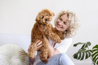 Maltipoo Designer Cross 101 :Qui sont ces adorables chiots ? 