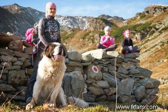 Rencontrez le Saint-Bernard :votre guide pour ces gentils géants 