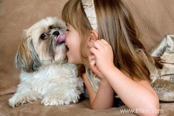 Aperçu du Shih Tzu et de ce qui rend cette race de jouet unique 