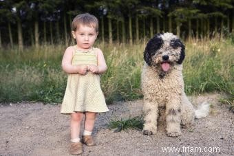 Chien d eau portugais 101 (Tout savoir) 