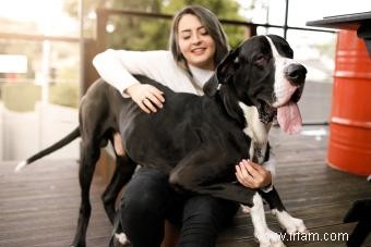 Meilleurs noms de grands chiens pour faire une énorme impression 