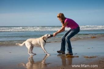 Choisir un chien pour s adapter à votre style de vie 