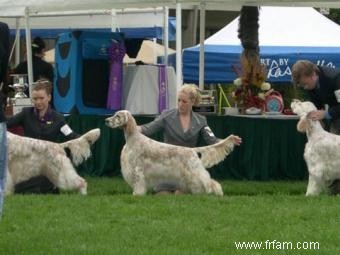 Tout ce que vous devez savoir sur les dresseurs d expositions canines 