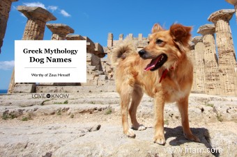 Noms de chiens de la mythologie grecque dignes de Zeus lui-même 