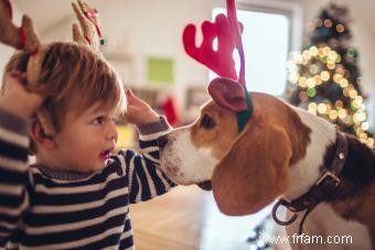 Comment passer un Noël festif avec des chiens (en toute sécurité) 