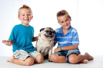 Races de chiens petites, moyennes et grandes bonnes pour les enfants 