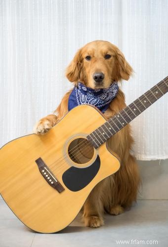 Noms de chiens inspirés du sud 