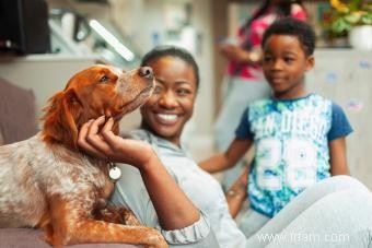 Conseils pour ramener un nouveau chien à la maison 