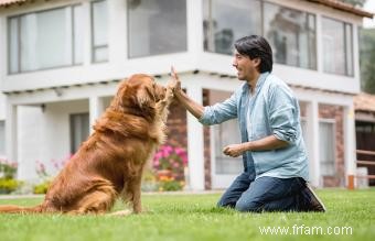 Pourquoi les chiens sont-ils meilleurs que les chats ? 15 raisons convaincantes 