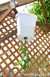 Jardinière DIY Topsy Turvy Tomato® 