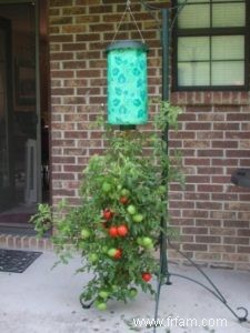 Jardinière DIY Topsy Turvy Tomato® 