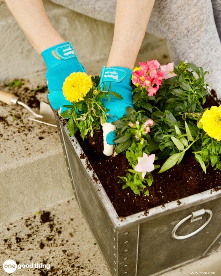 11 conseils faciles pour planter des pots de fleurs qui fleuriront 