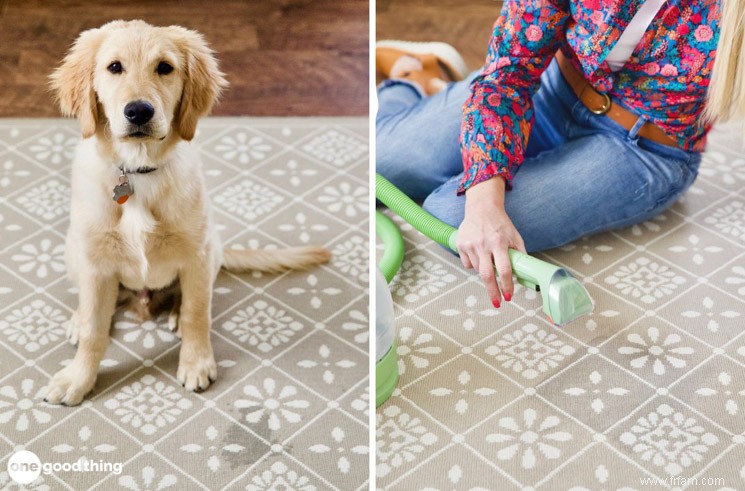 Ce nettoyeur de tapis populaire de la taille d une pinte est-il bon ? 