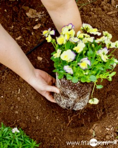 Cultivez votre meilleur jardin en évitant ces 8 erreurs 