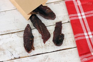 Teriyaki Jerky fait maison au four 