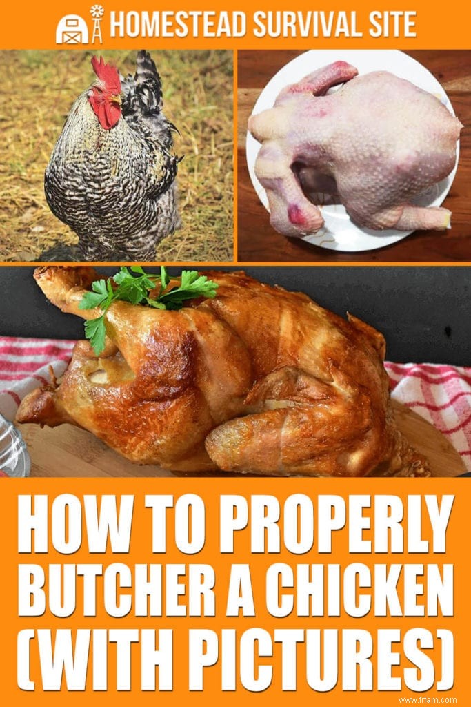 Comment bien boucher un poulet (avec images) 