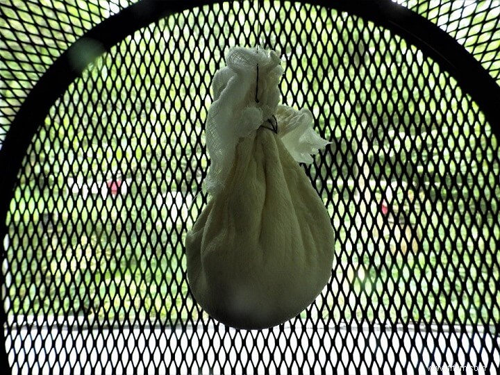 Comment faire du fromage mozzarella à partir de zéro 