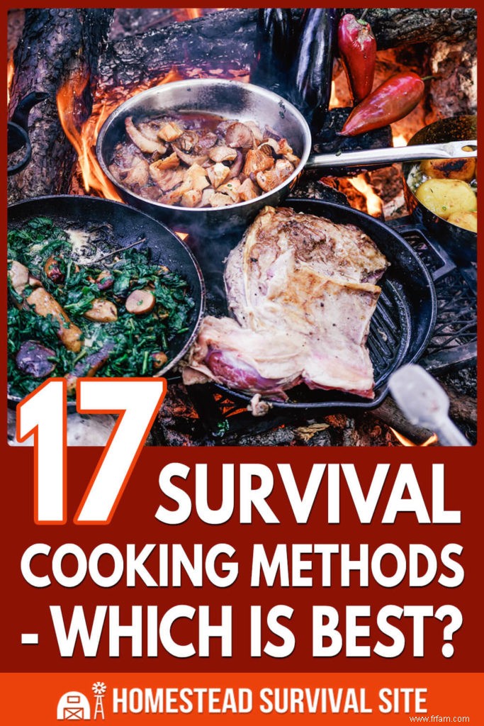 17 Méthodes de cuisson de survie – Quelle est la meilleure ? 