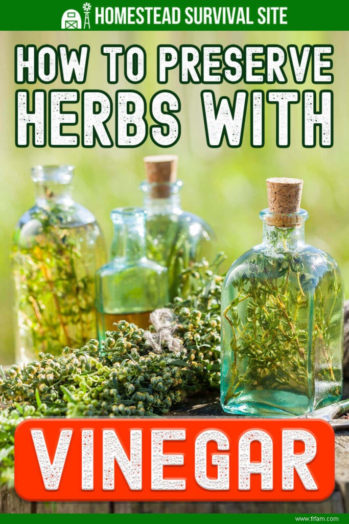 Comment conserver les herbes avec du vinaigre 