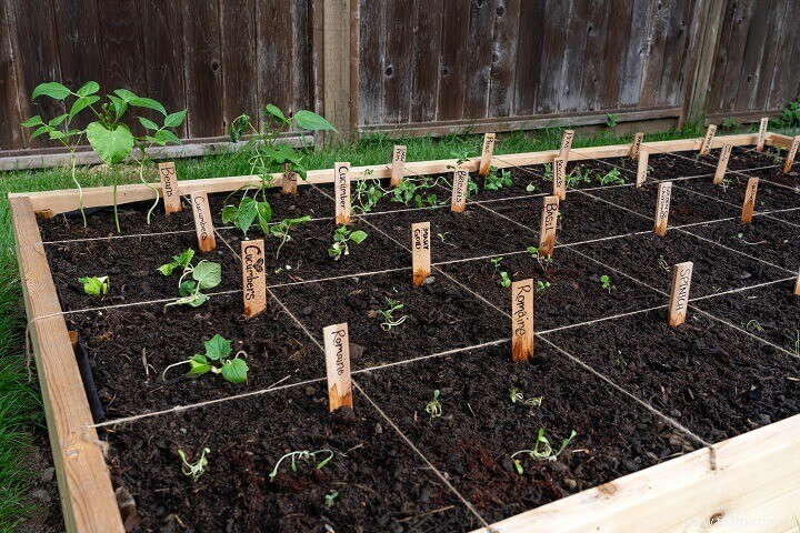 Comment créer un jardin au pied carré 