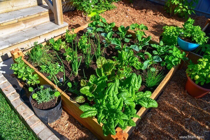 Comment créer un jardin au pied carré 