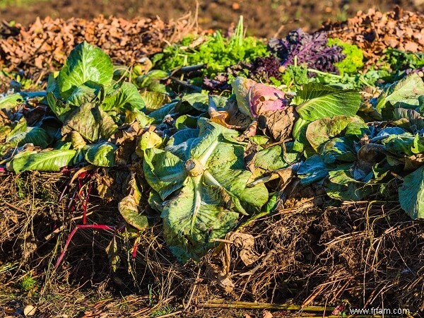 Compostage 101 :Lisez ceci avant de commencer 