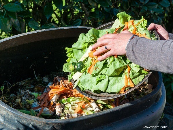 14 choses que vous ne devriez jamais composter (et pourquoi) 