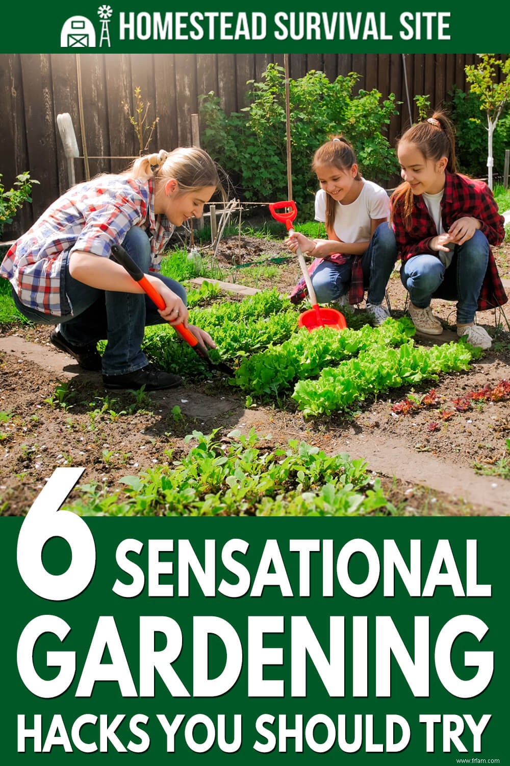 6 astuces de jardinage sensationnelles que vous devriez essayer 