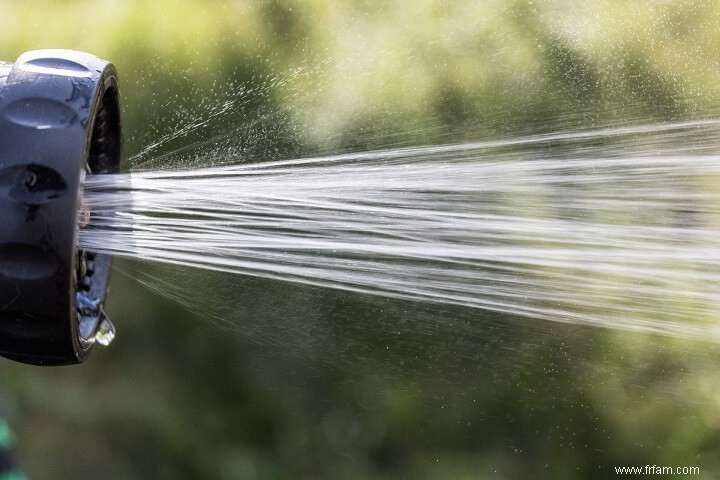 Jardinage biologique - Comment démarrer un jardin biologique en 6 étapes 