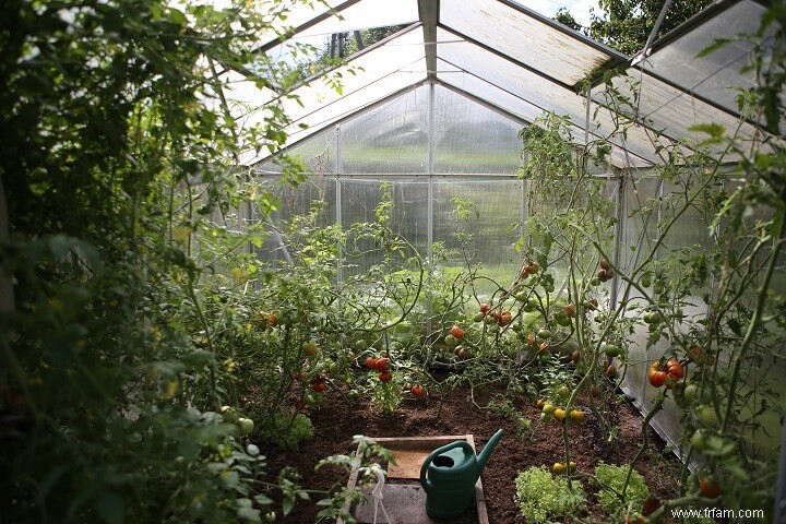 Jardinage biologique - Comment démarrer un jardin biologique en 6 étapes 