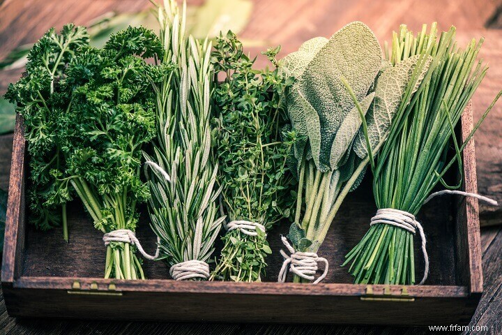 Comment récolter des herbes pour une puissance maximale 