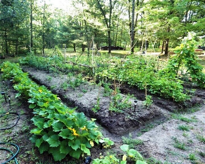 Un plan stratégique pour le jardinage à long terme 