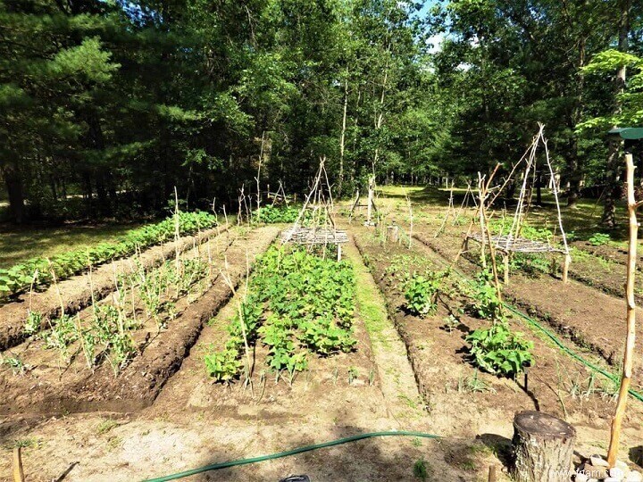 Un plan stratégique pour le jardinage à long terme 