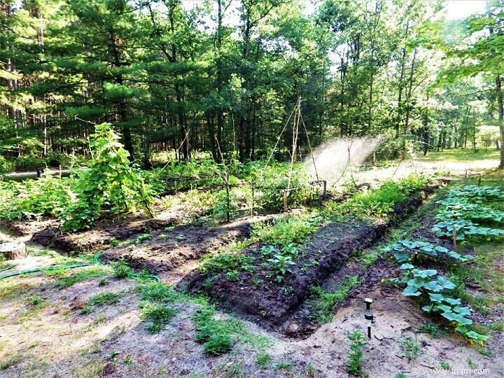 Un plan stratégique pour le jardinage à long terme 