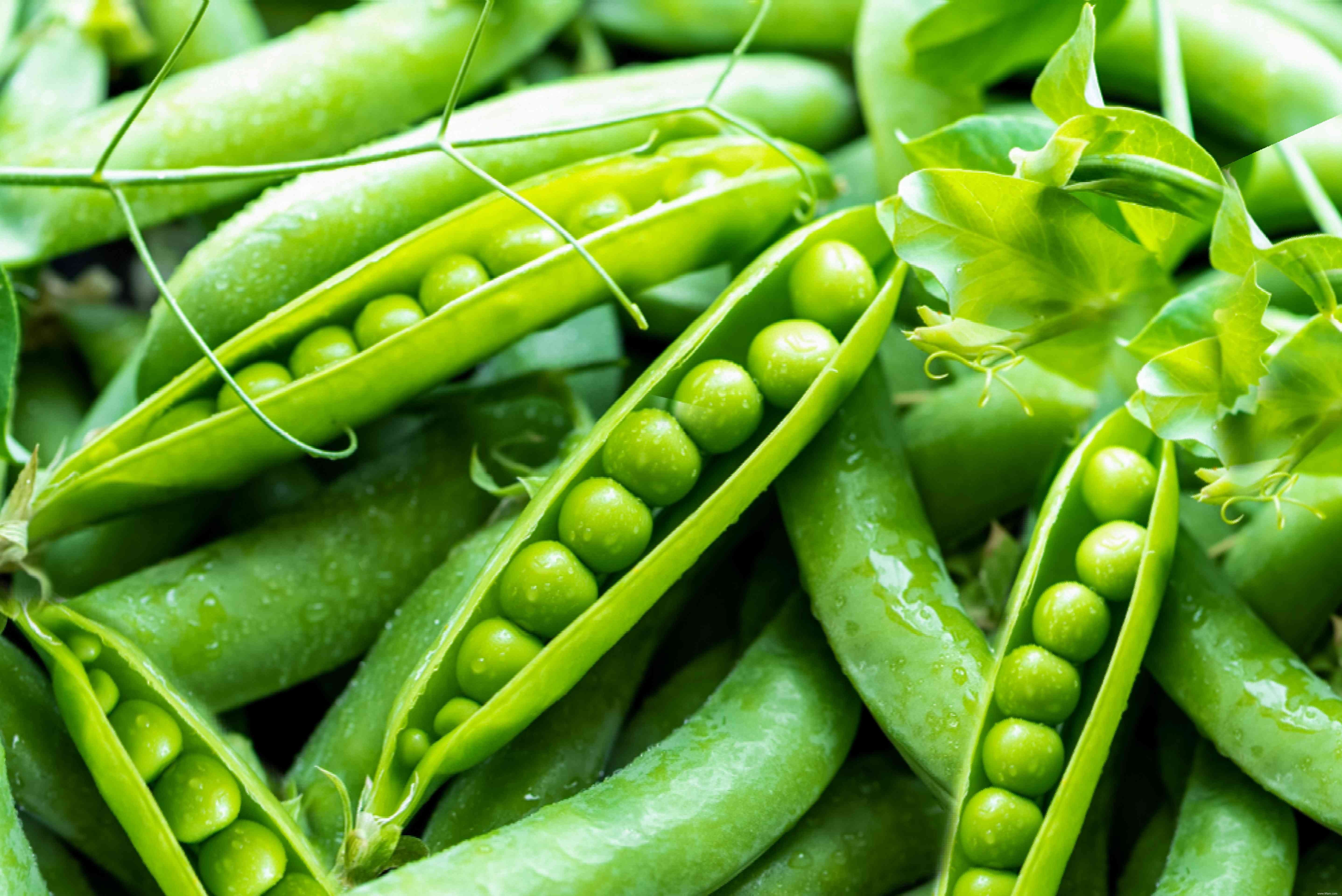 Les meilleures plantes d accompagnement pour les pois de jardin (et celles à éviter) 