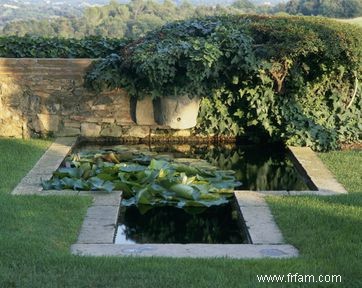 Meilleures variétés de plantes d étang d arrière-cour 