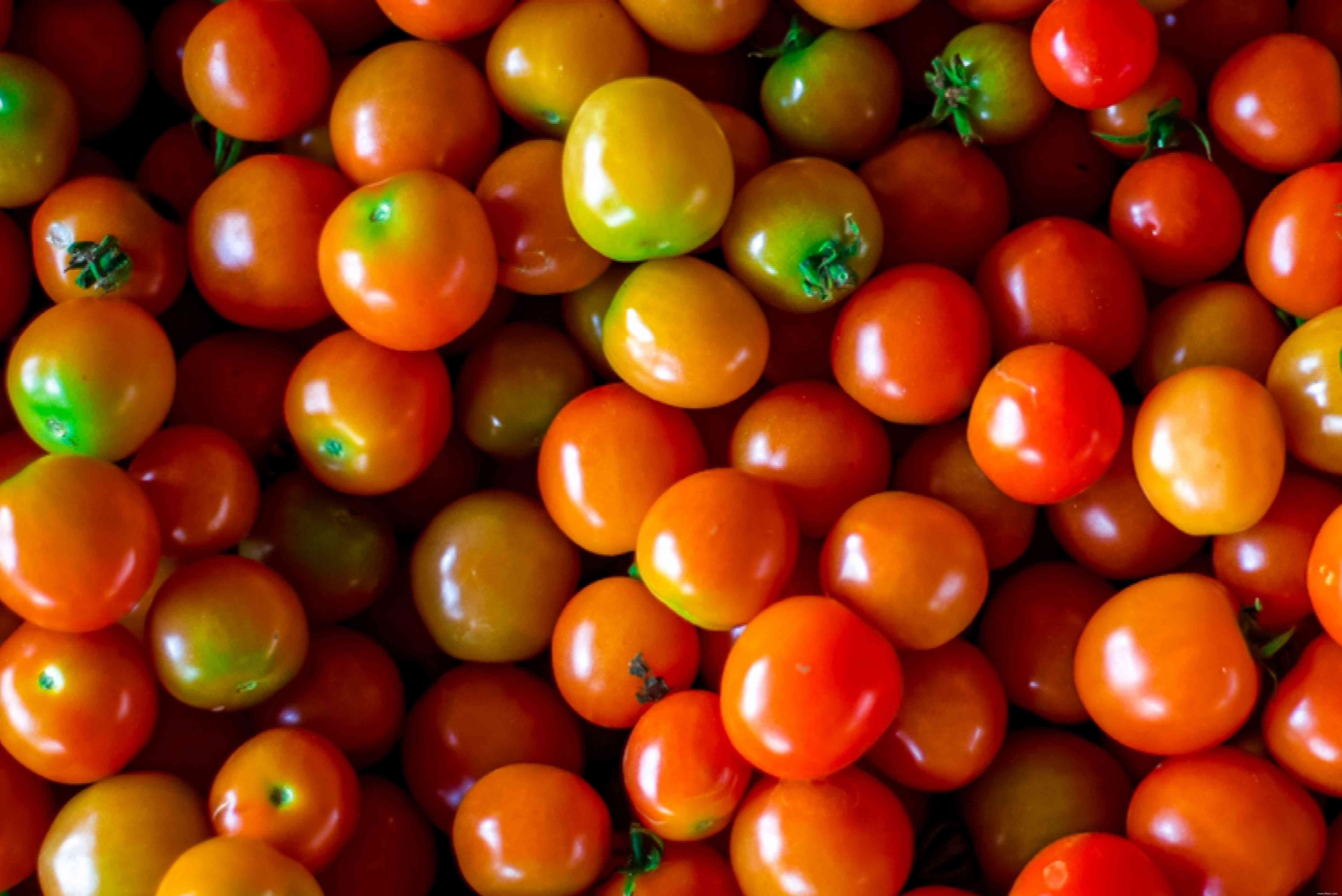 Pourquoi les extrémités de mes tomates restent-elles vertes ? 