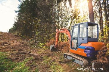 Où trouver des arbres, des arbustes et des fleurs gratuits pour votre jardin 