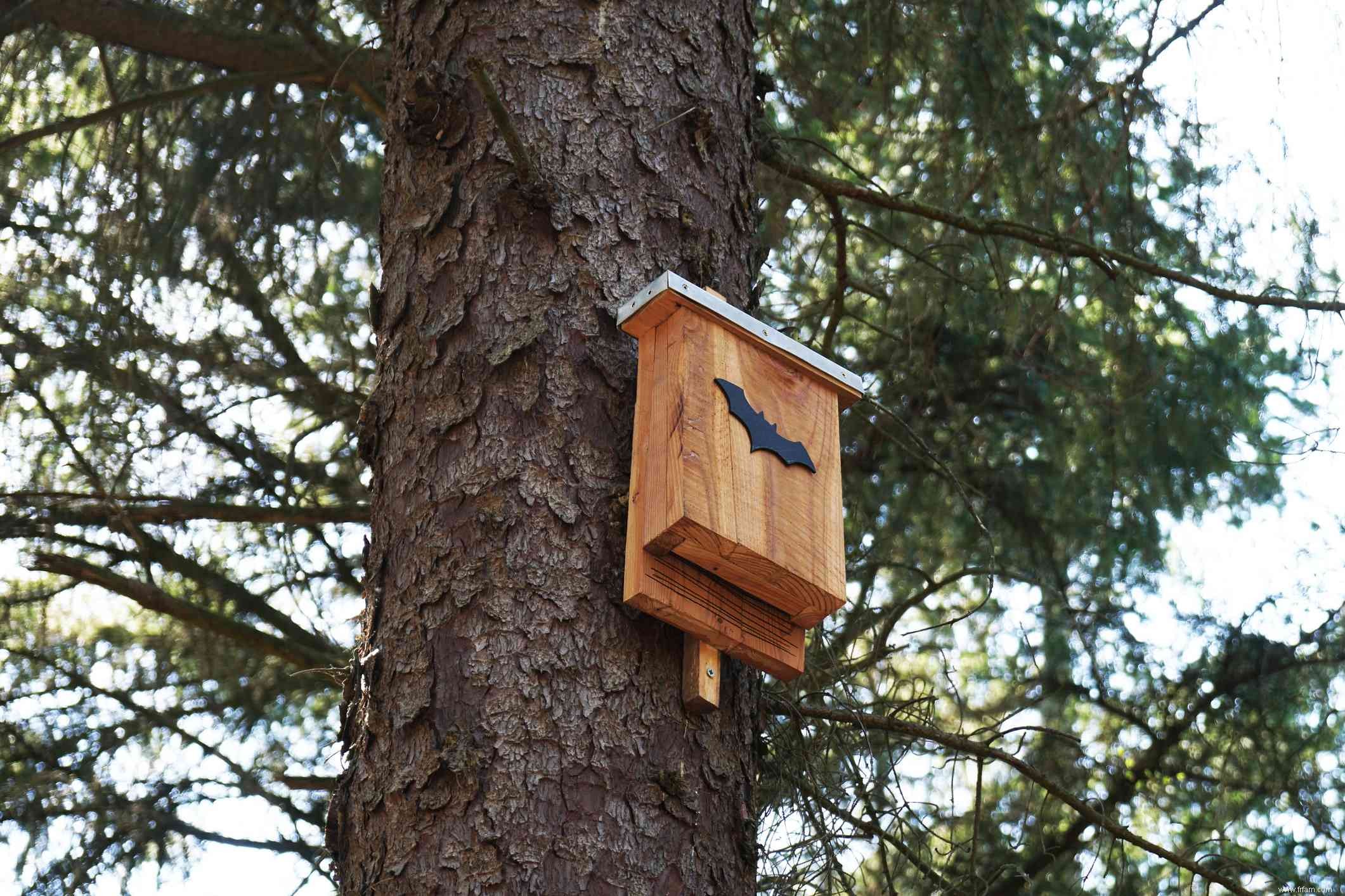 Comment se débarrasser des chauves-souris dans une maison 