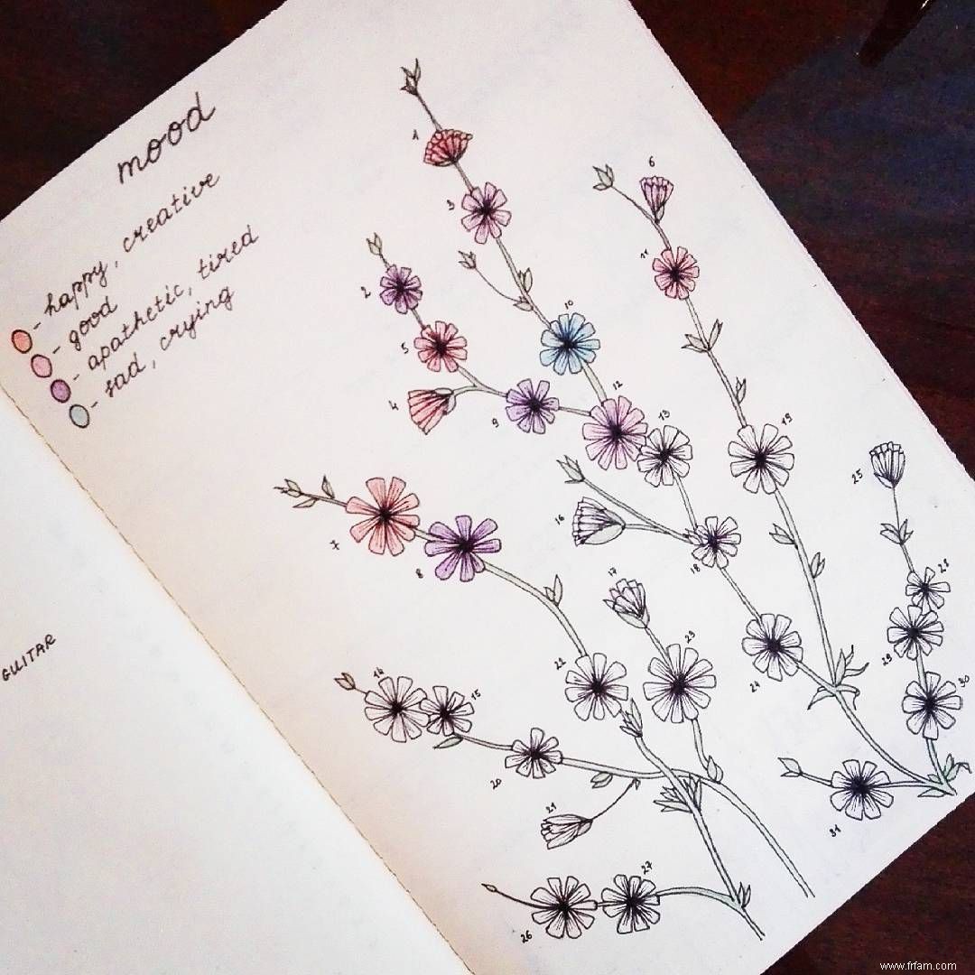 13 idées inventives de Bullet Journal 